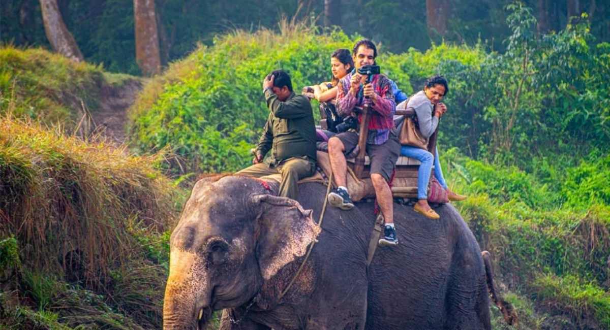 Chitwan Jungle Safari